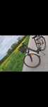 Rower markowy GIANT damski