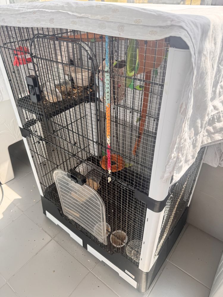 Vendo gaiola petauros do açucar