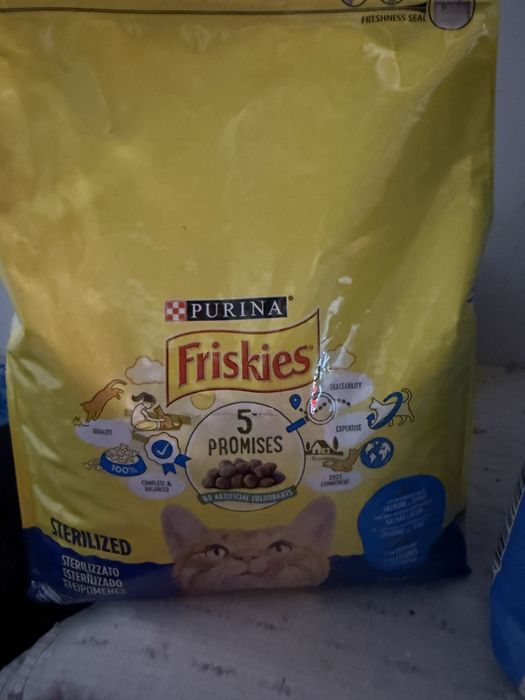 Caixa de areia, areia aglomerante e alimentaçao para gato