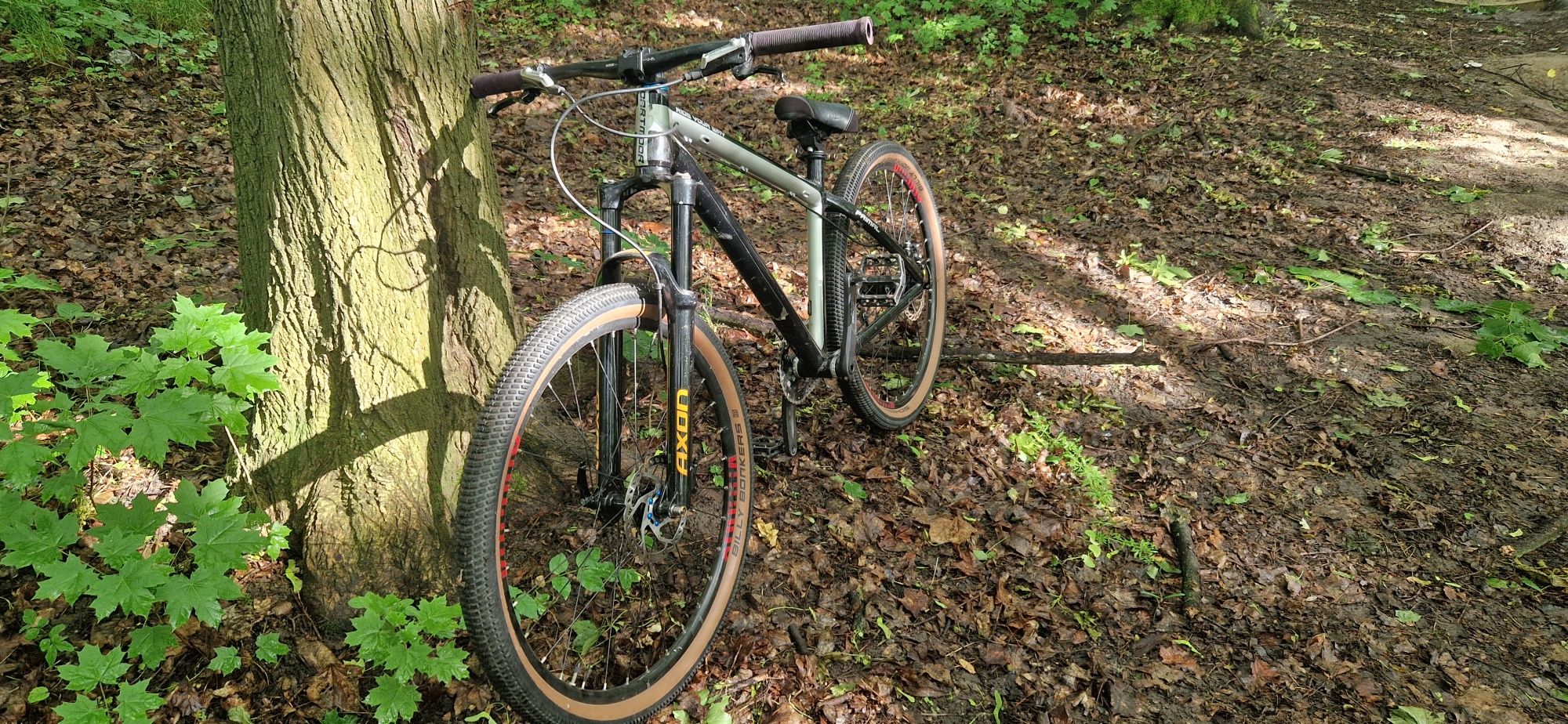Rower dartmoor XC/dirt