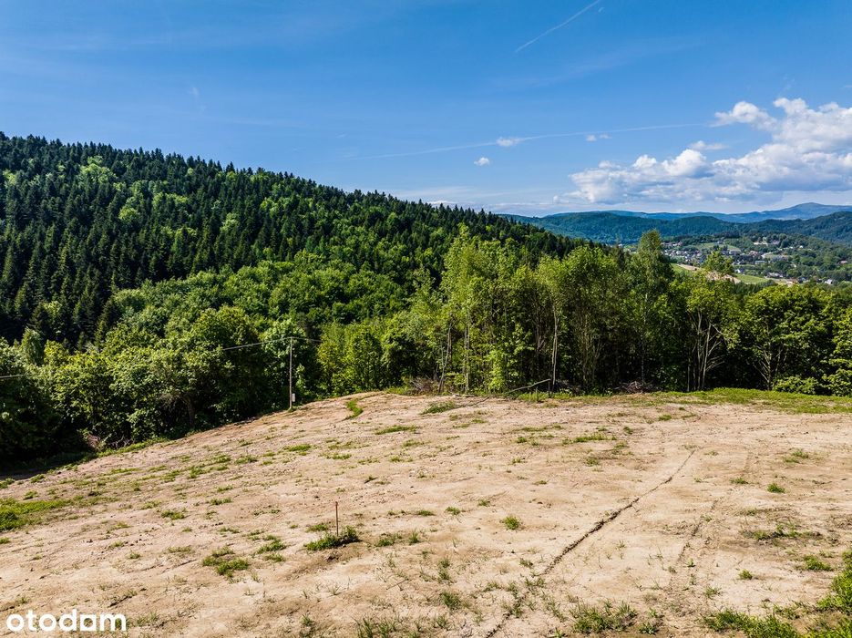 Działka widokowa w sąsiedztwie lasów