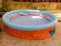 Piscina para Criança