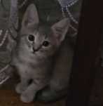 Чекають на своїх людей.