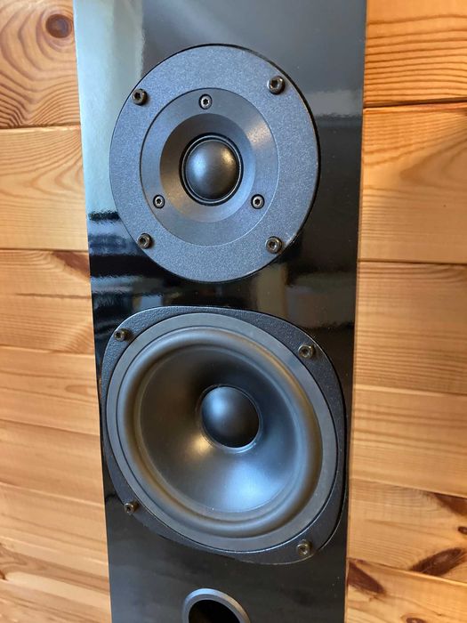 Kolumny podłogowe MILLON Cobra I (dziś: Stradivari Audio, Holandia)