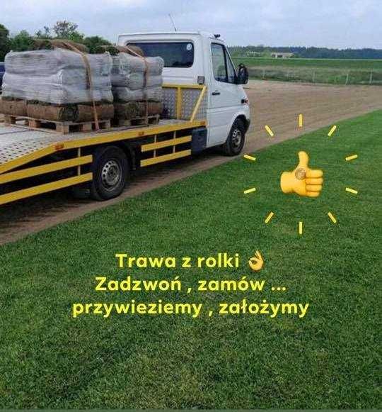 Trawa  z  rolki , gęsta - efekt natychmiastowy