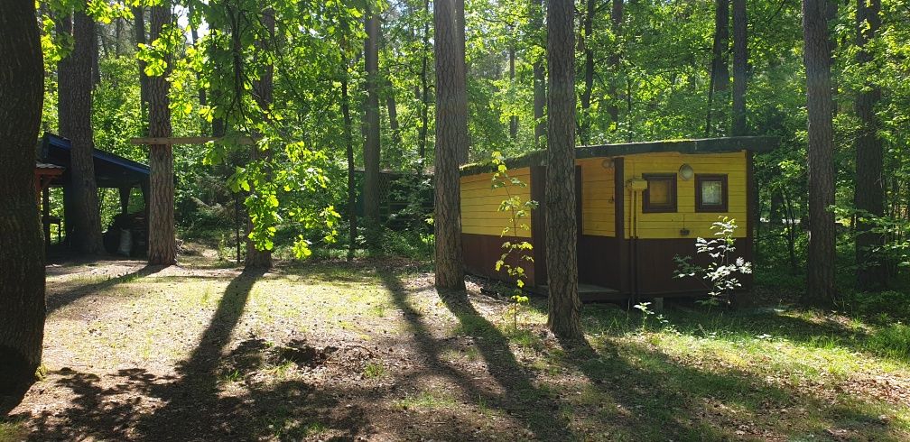 Domek letniskowy nad rzeką Bug STARE MIERZWICE