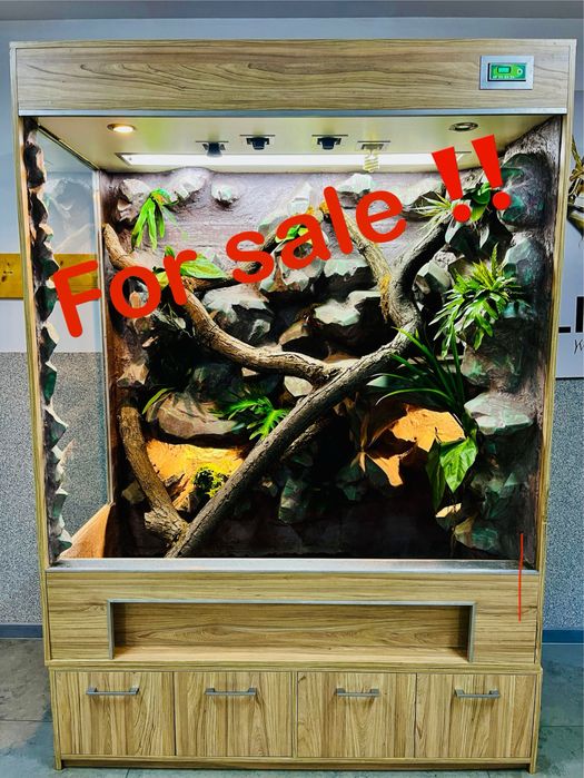 Profesjonalne Terrarium z Kamienia