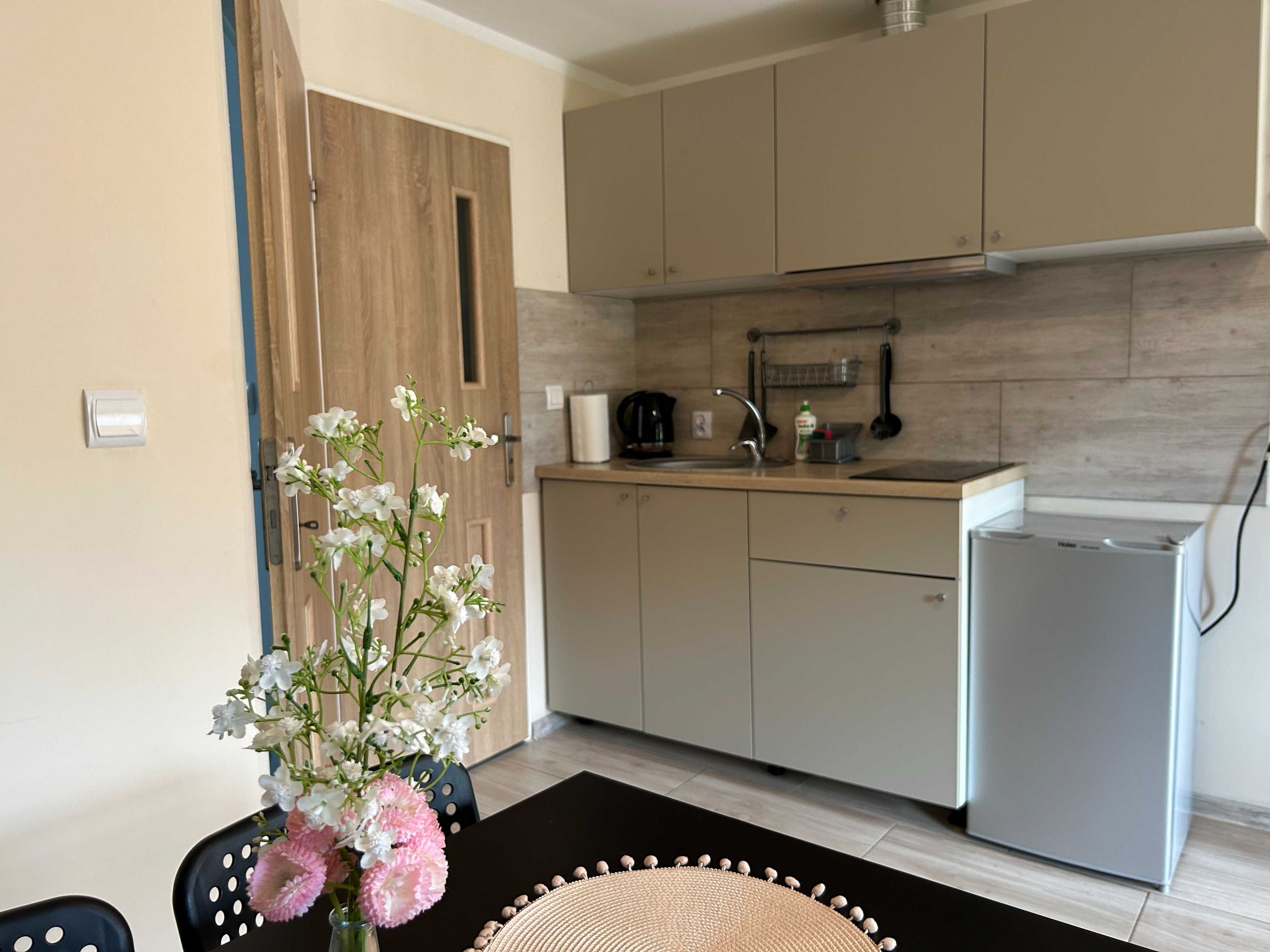 Apartament Giżycko, Noclegi centrum, mieszkania z ogrodem
