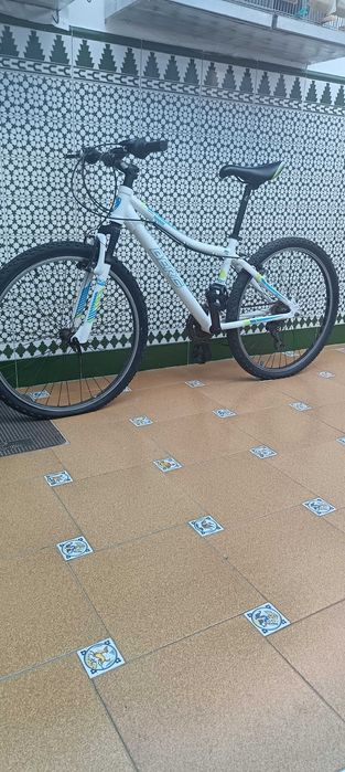 Biciclenta berg 26