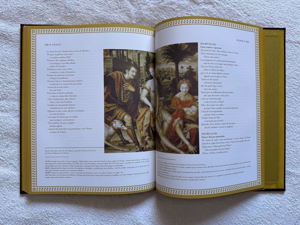 Biblia Sagrada (ilustrada)