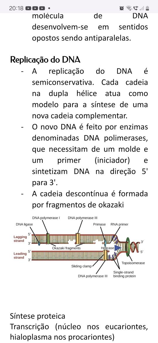 Resumo  Biologia 10.º/11.⁰