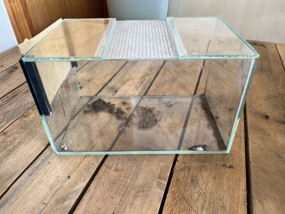 Aquário para réptil + castelo para decoração