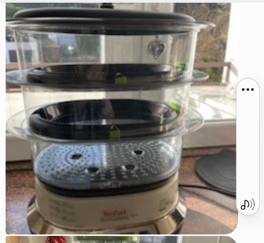 Parowar Tefal Model. S 10 1800 W