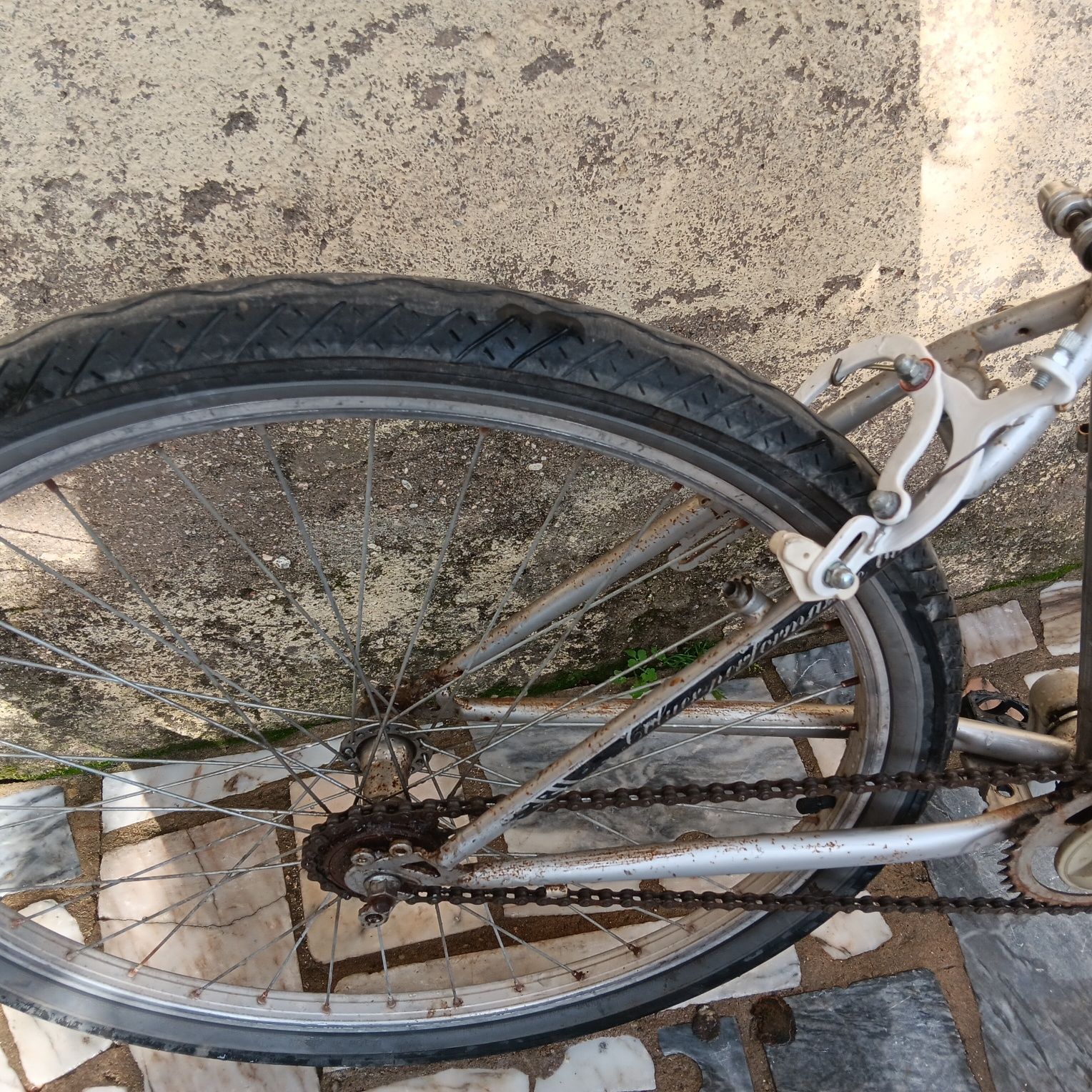 Bicicleta toda 26
