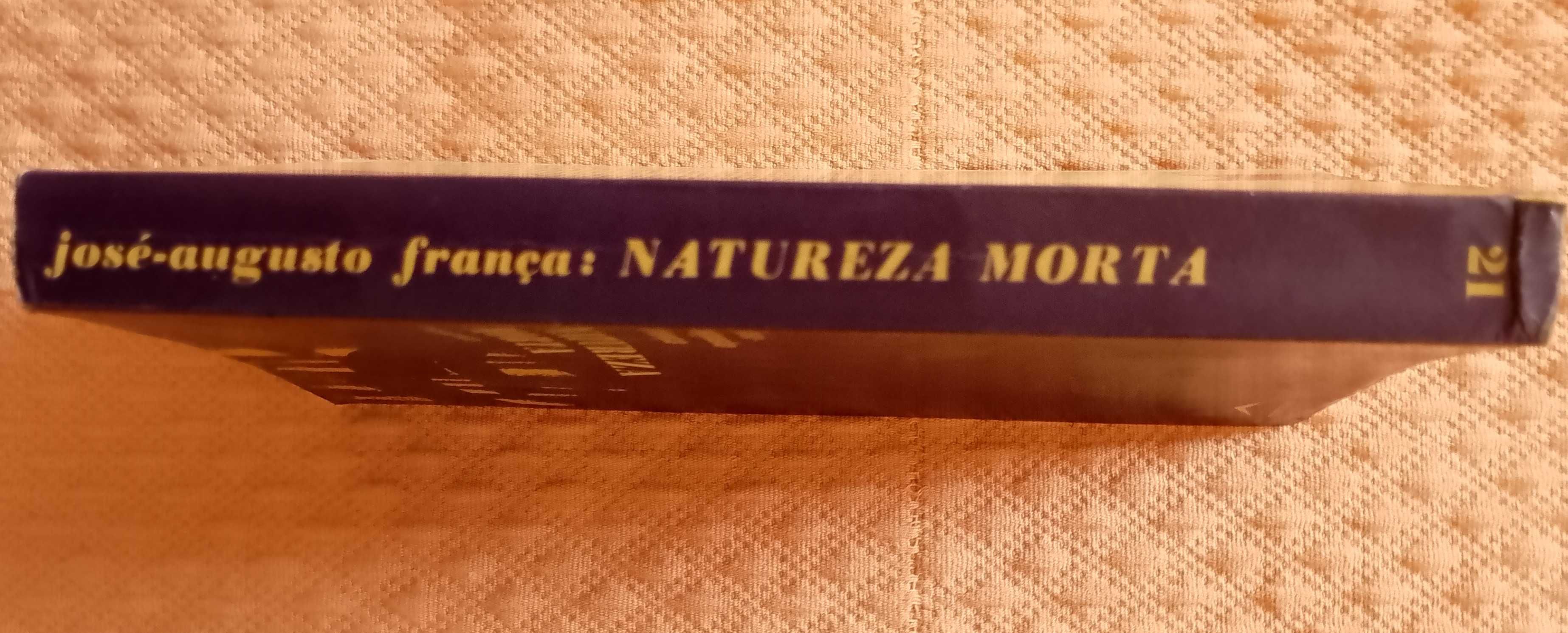 Natureza-morta, José Augusto-França