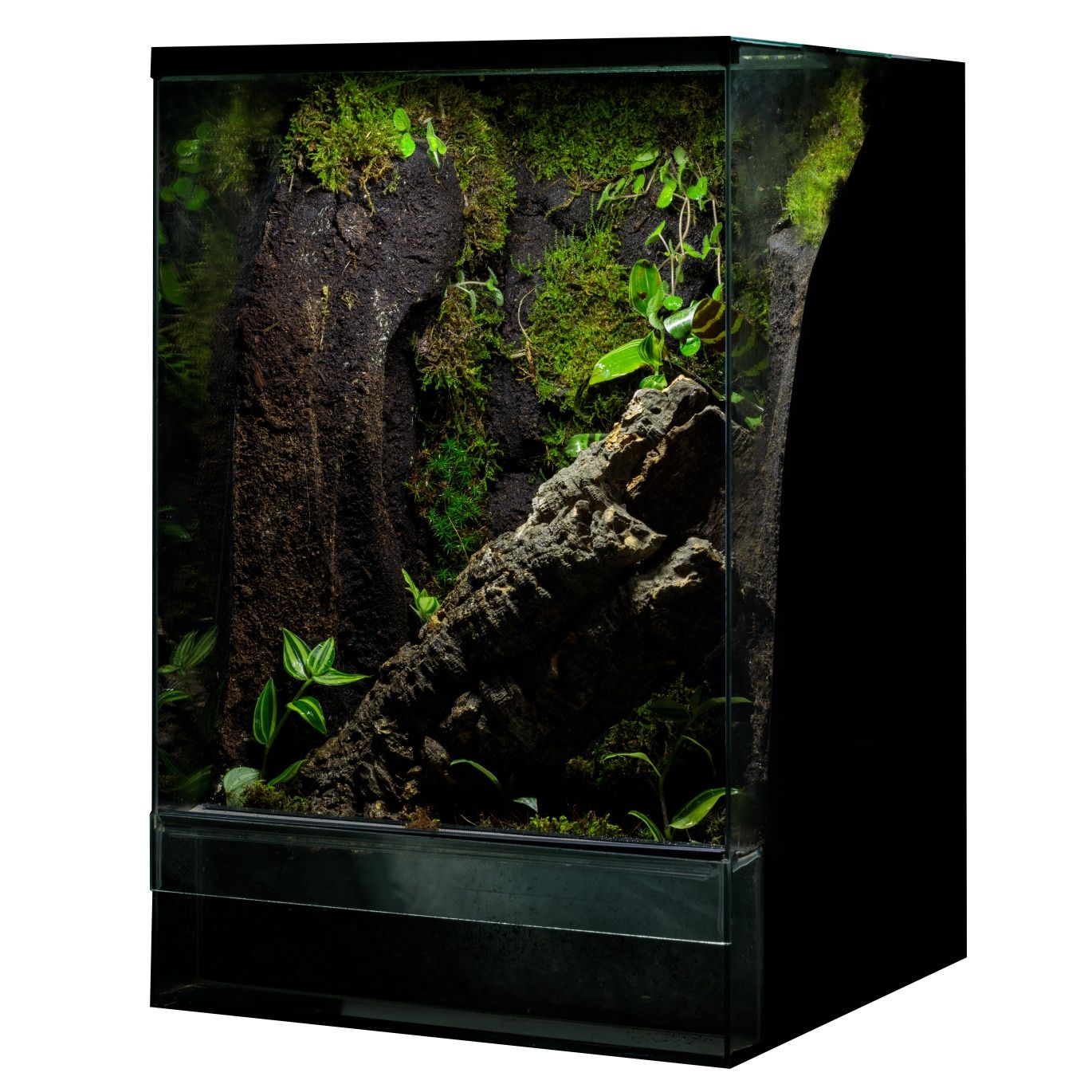 Terrarium tropikalne 40x40x60