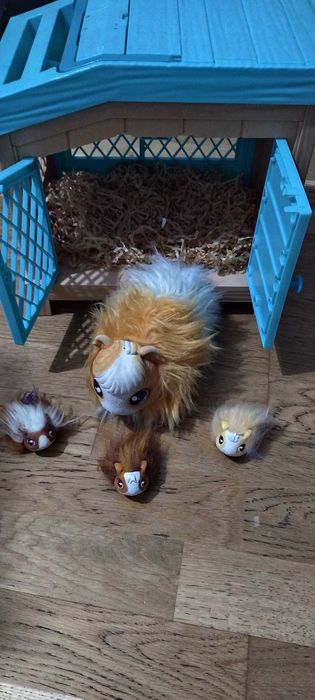 Little Live Pets Surprise Mama Świnka Morska COBI