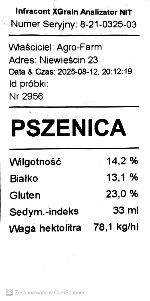 Pszenica ozima Wilejka jakościowa oścista