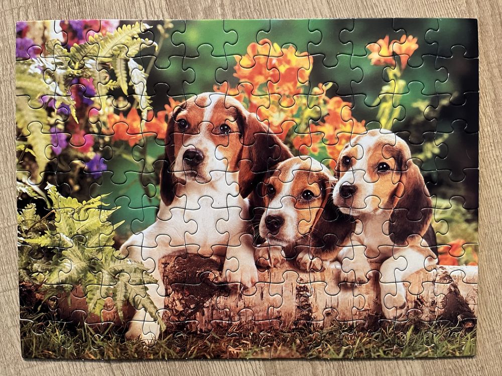 Szczeniaki z mamą (beagle) 99, Księżniczka Zosia dwa obrazki 50 puzzle