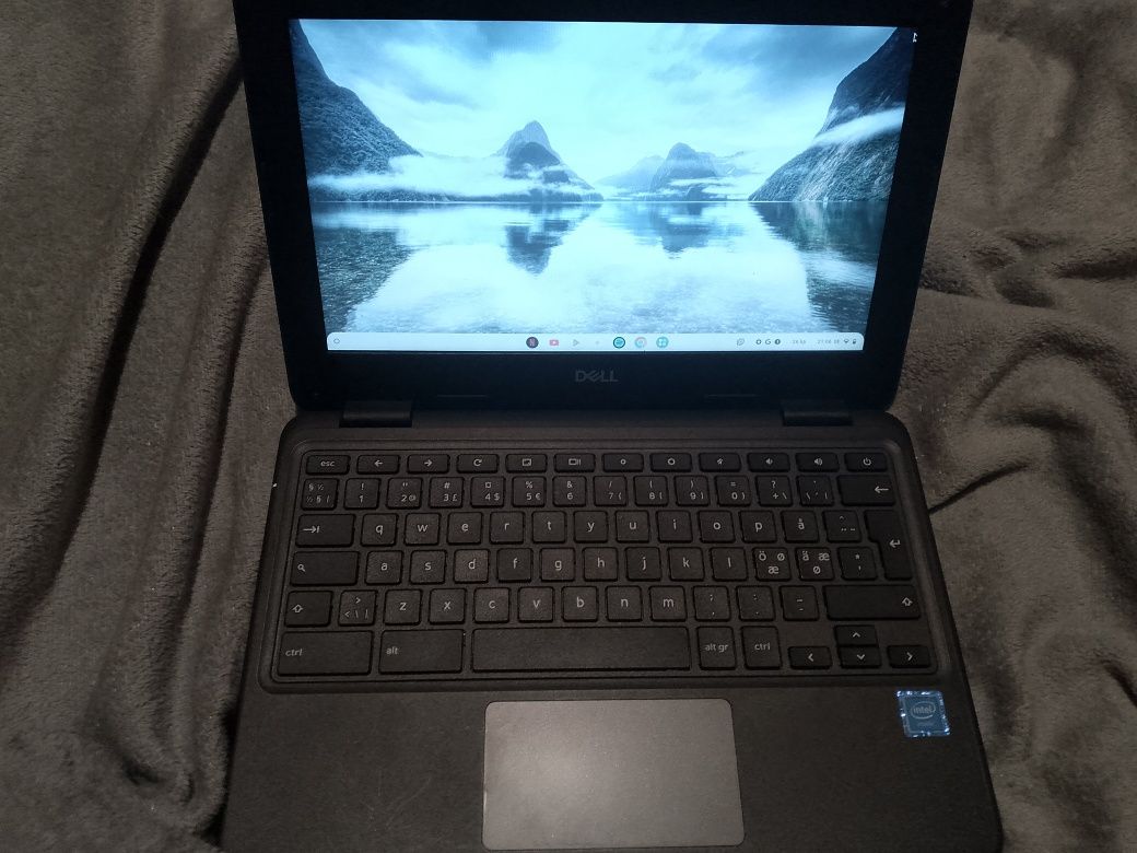 Chromebook 3100 dell