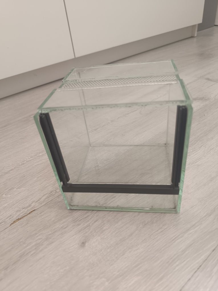 Terrarium dla ptasznika