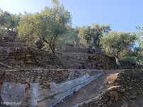 Terreno  para venda