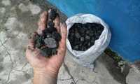 Уголь в мешках по 50 кг с доставкой