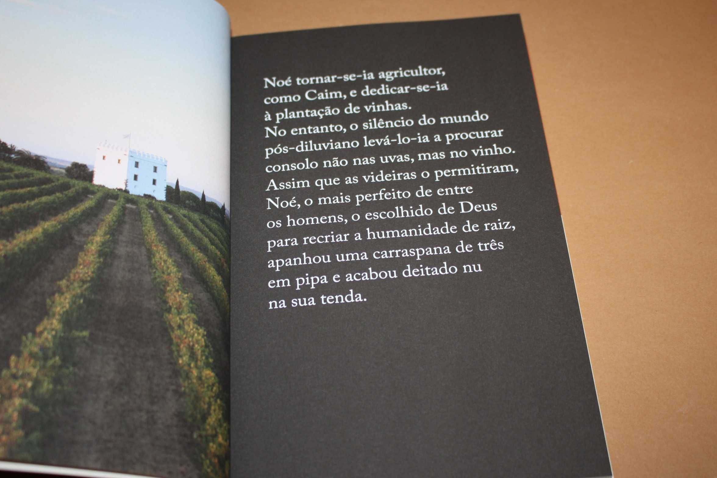 Terra // João Pedro Vala