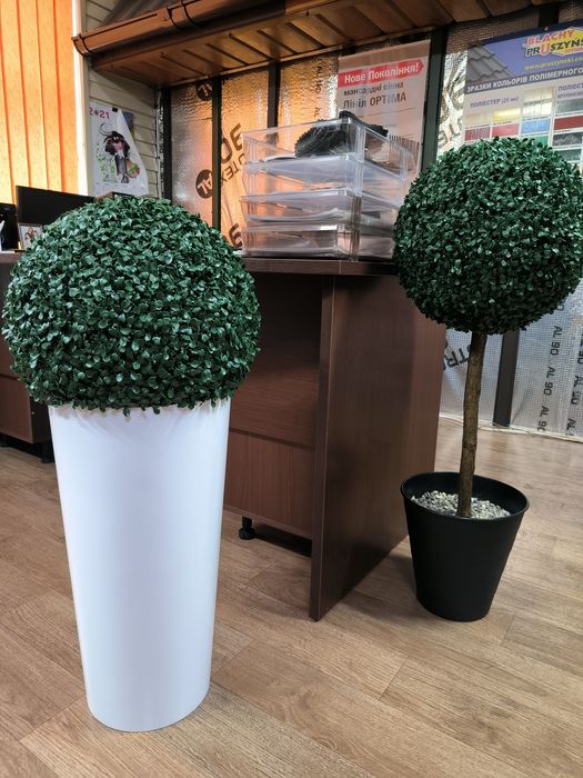 Самшит  декоративный, для офиса,дома