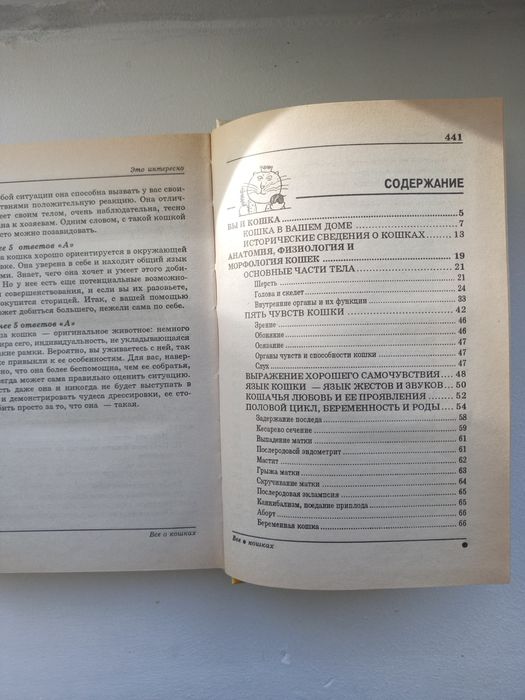 Книга. Всё о кошках.