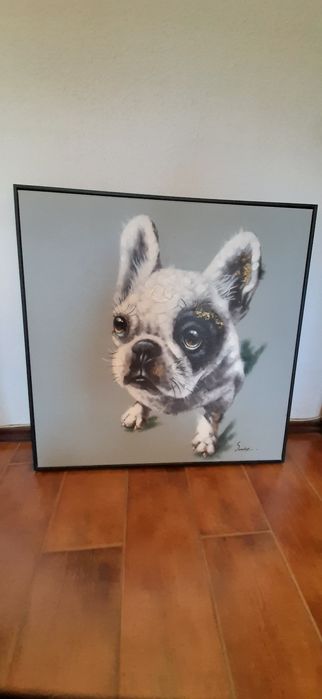 Quadro c Bulldog  Francês