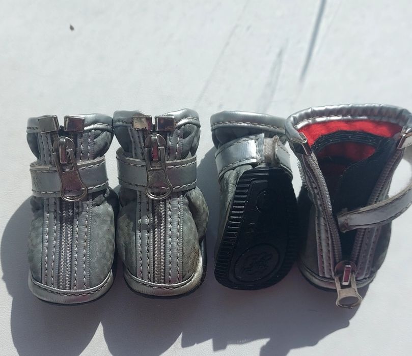 Продам взуття для йорка