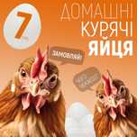 Продам домашні курячі яйця