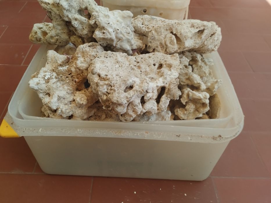 Material diverso aquário reff água salgada