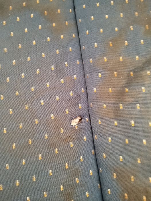 Vendo sofá com um pequeno defeito, um buraco na almofada