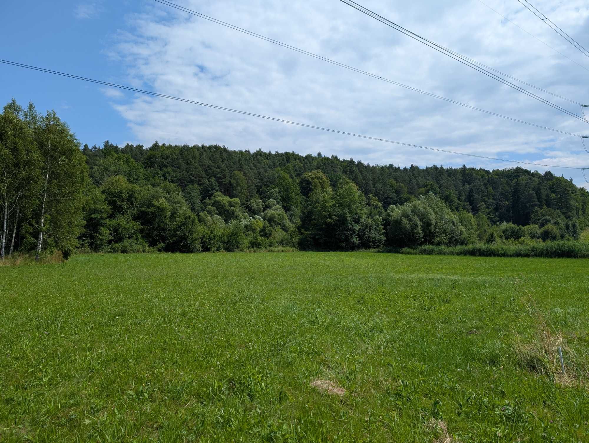 Działka z drewnianym domkiem obok Dobczyc