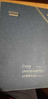 Dzieje piśmiennictwa polskiego -W.Doleżan- Poznań1906opr.,ilustr.