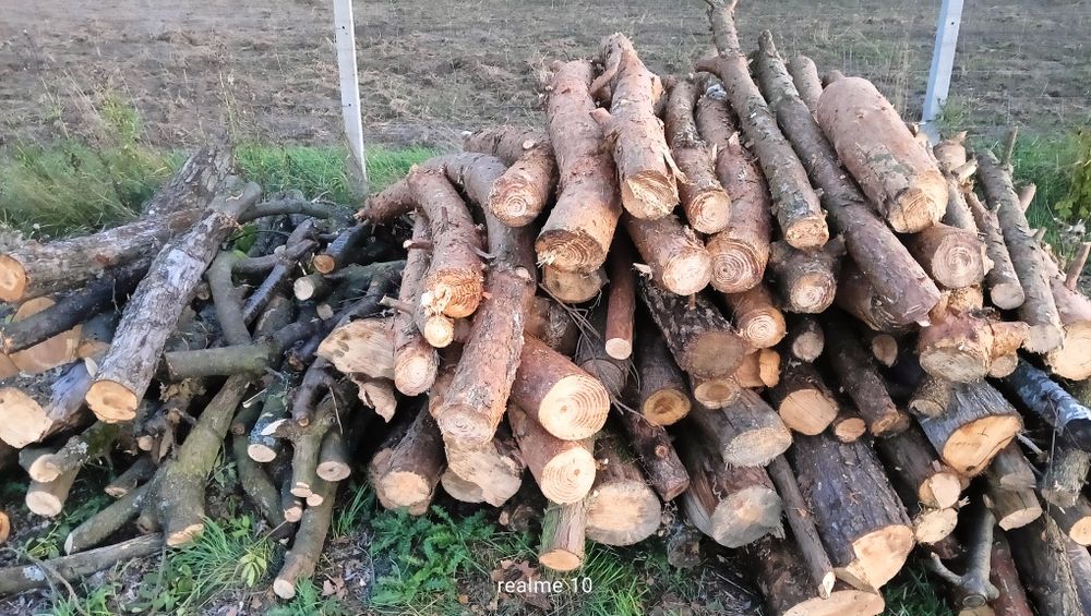 Drewno kominkowe i opałowe