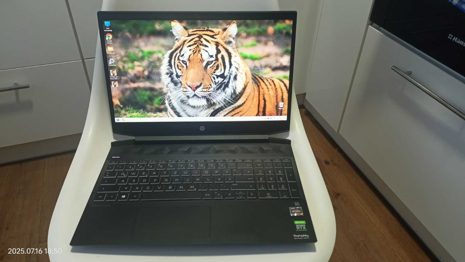 HP Pavilion Gaming (15,6 IPS/Ryzen 5/RAM 16/SSD 1Tb/RTX 3050Ti)