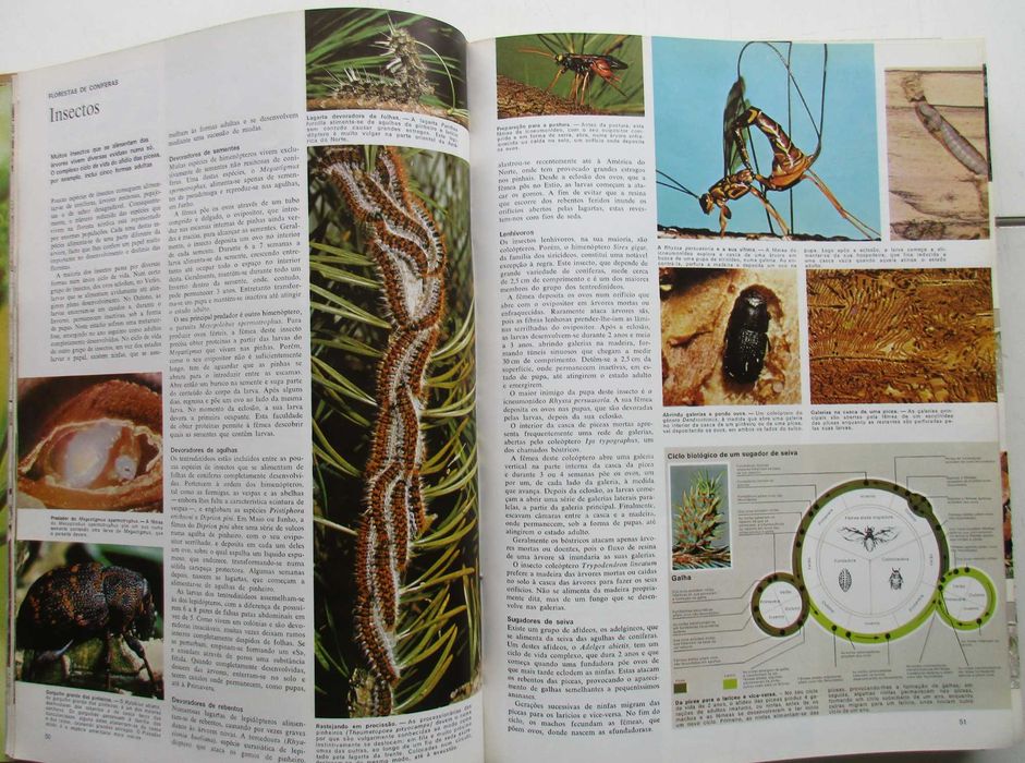 Animais da Terra - - - - - Enciclopédia