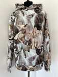 Magic Pet Fashion Bluza dziecięca Devon Rex , kot, kotki rozm 140