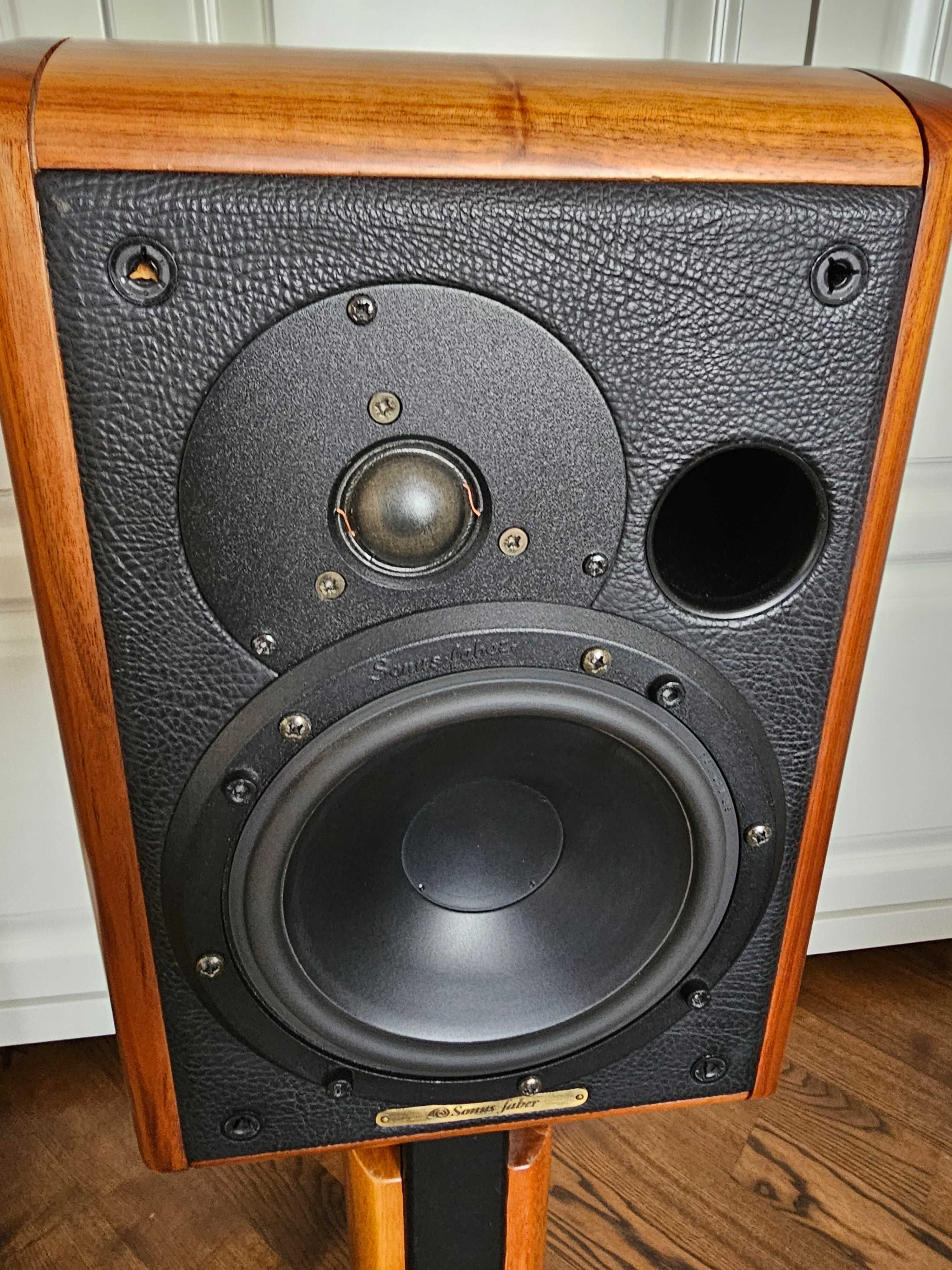 Hi-End акустика Sonus Faber Electa со стойками