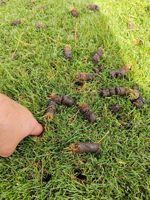 AERATOR nakłuwacz areator Camon LA25 do napowietrznania rurkowy otwor