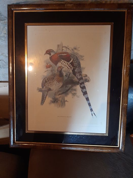 Quadros varios antigos