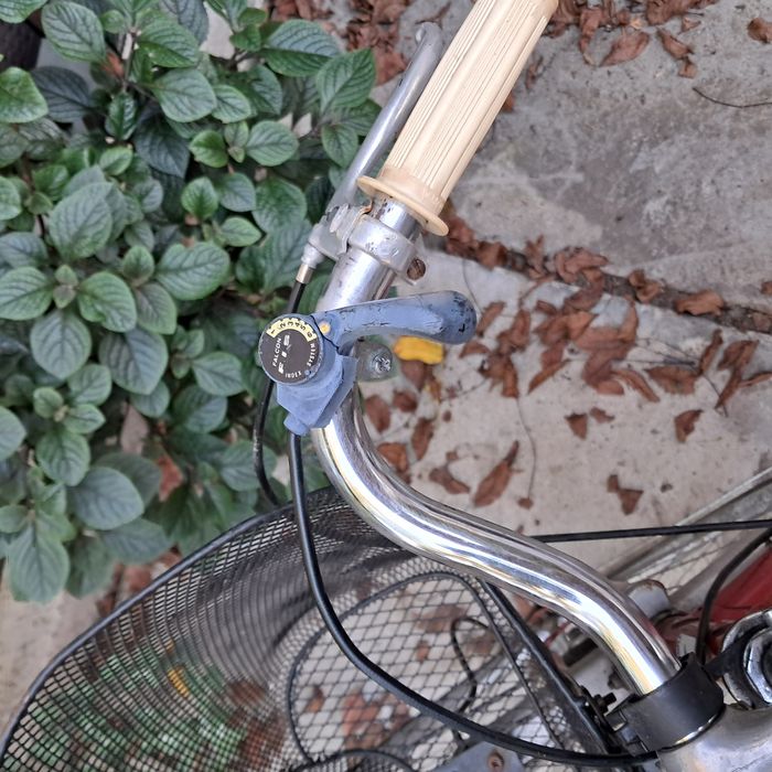 Turmberg damka z koszykiem