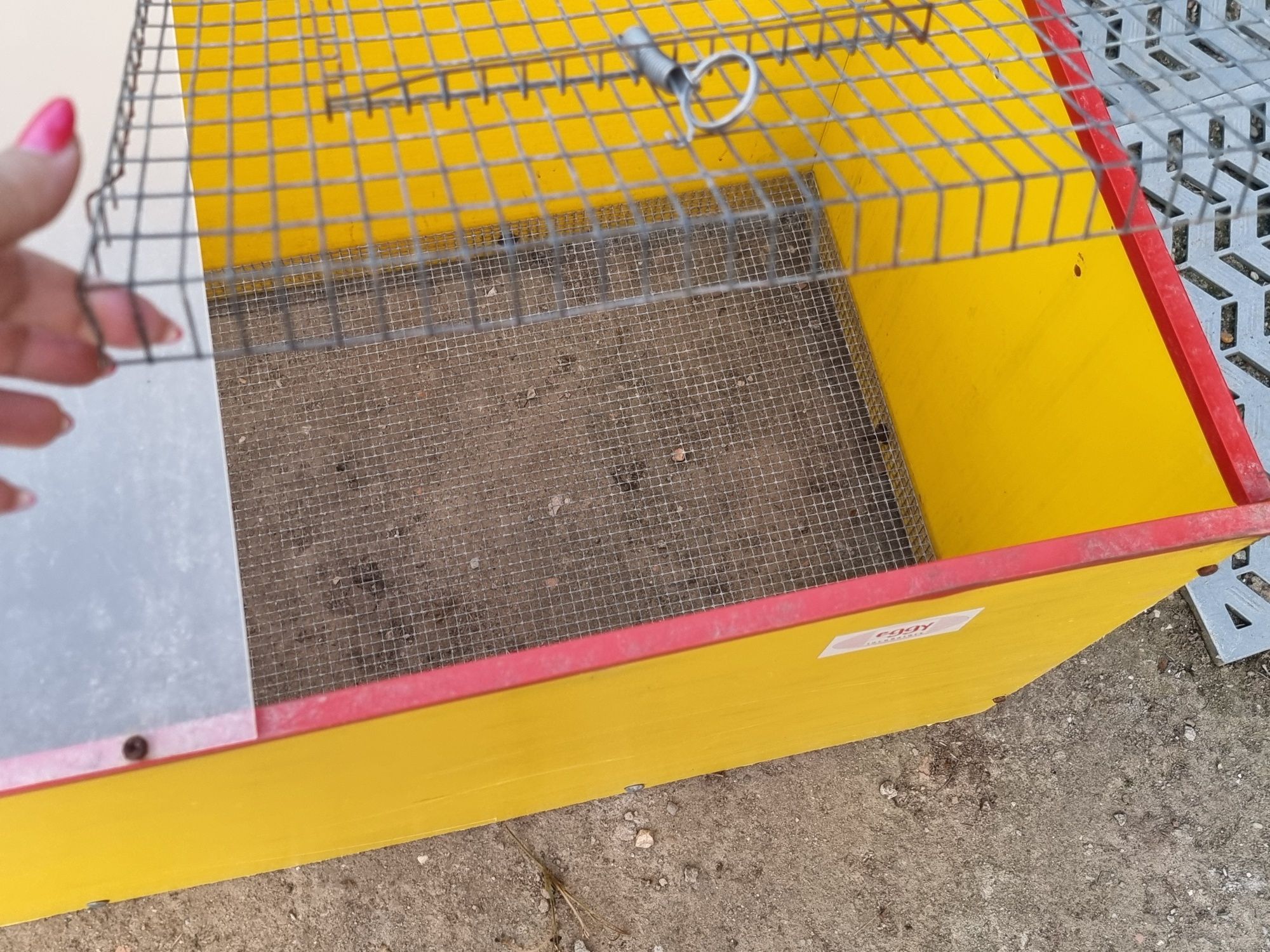 Criadeira para aves