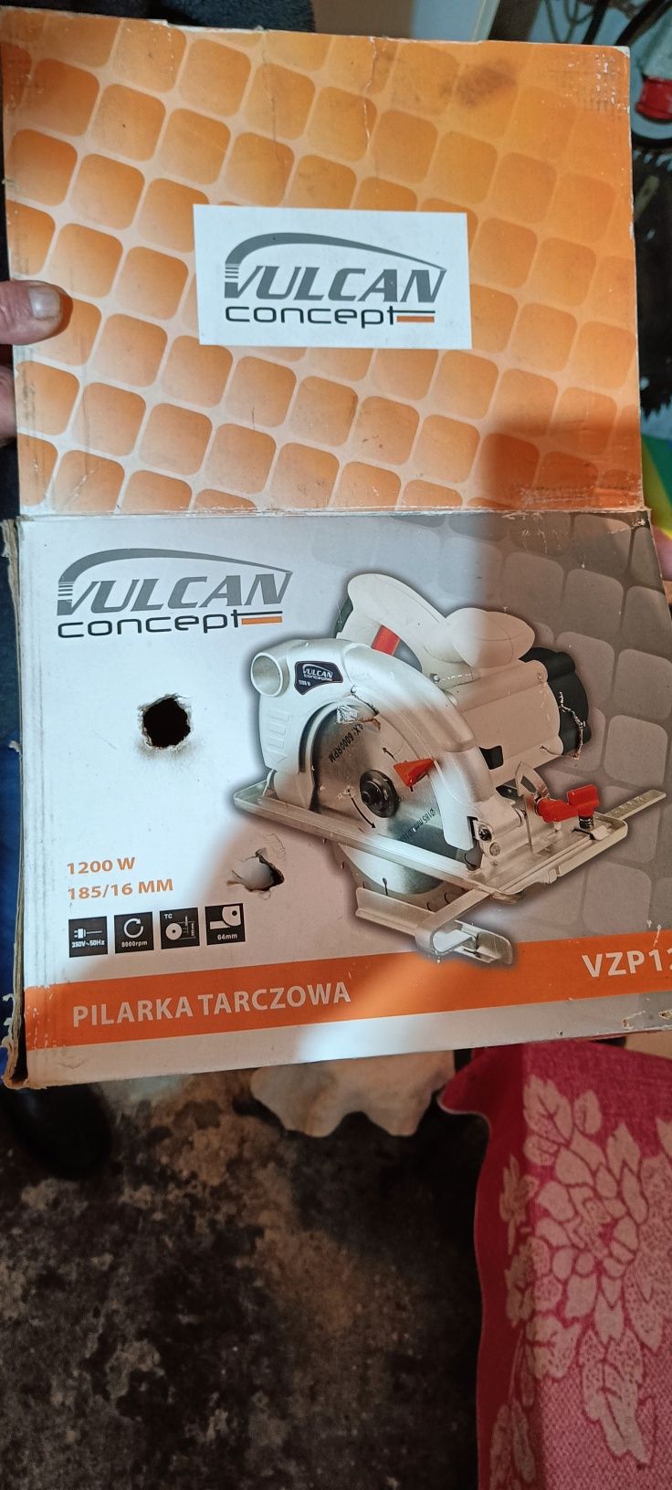 Pilarka Tarczowa