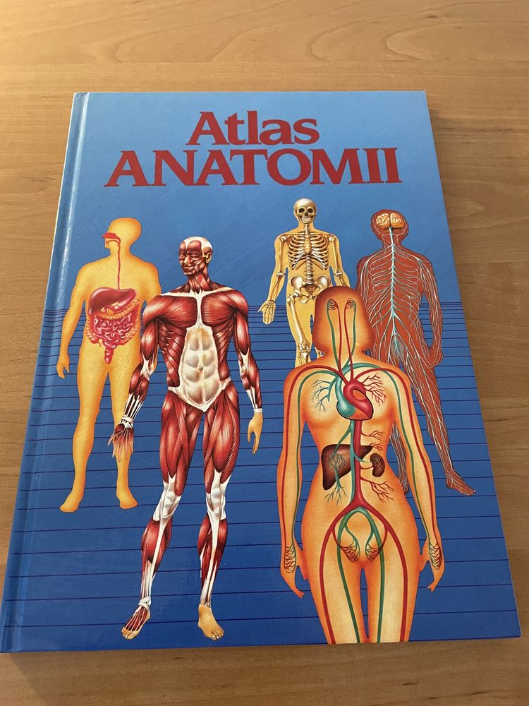 Atlas anatomii dla dzieci/młodzieży