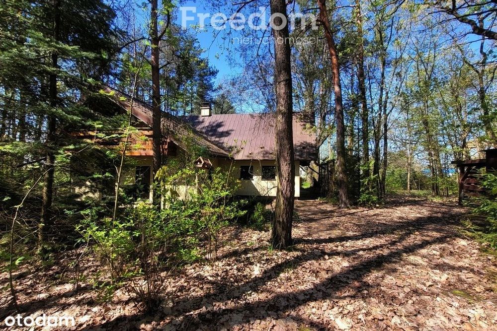 Dom na dużej działce przy Dk 9