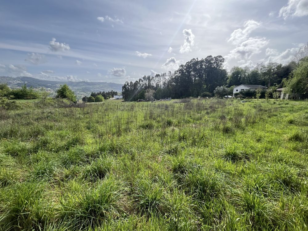 Terreno em Gémeos - Guimarães